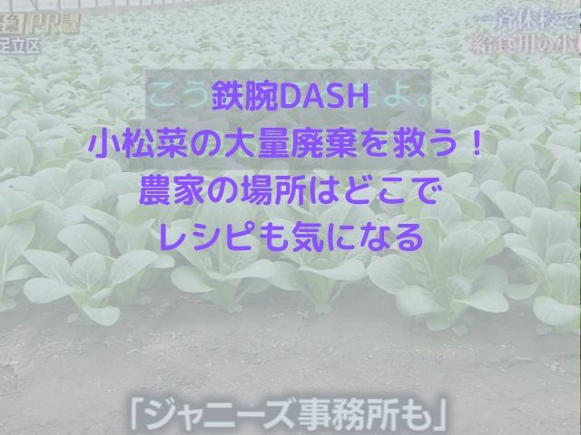 鉄腕dash小松菜の大量廃棄を救う ハウスの場所はどこでレシピも気になる かりかりブログ